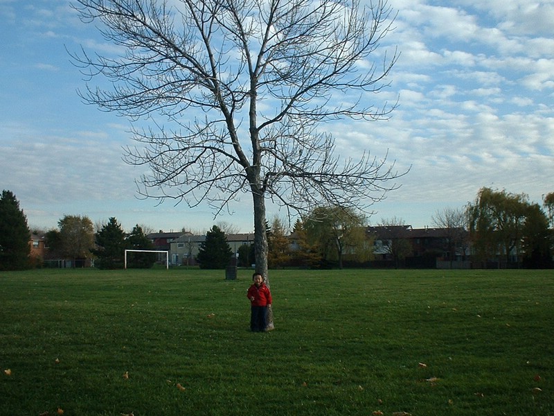 DSCF0003.JPG