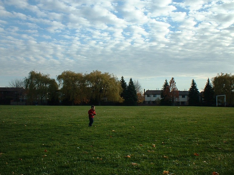 DSCF0004.JPG