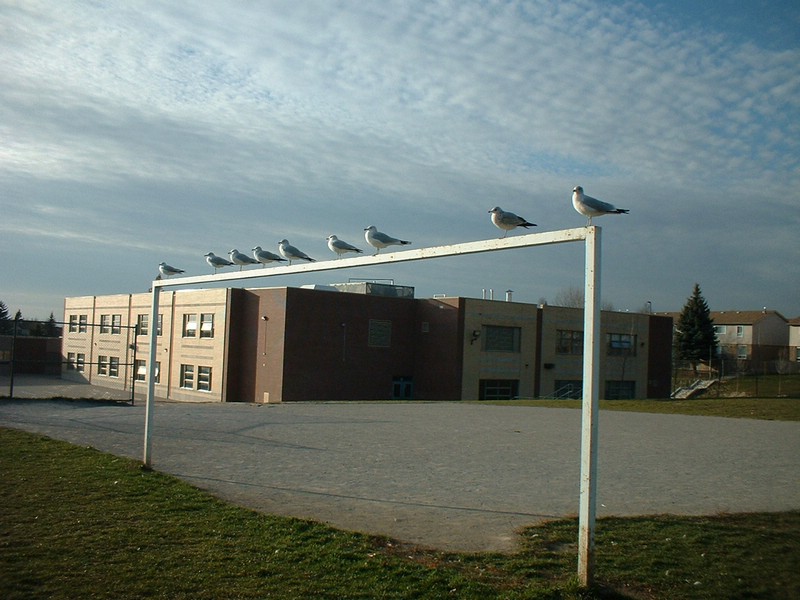 DSCF0017.JPG