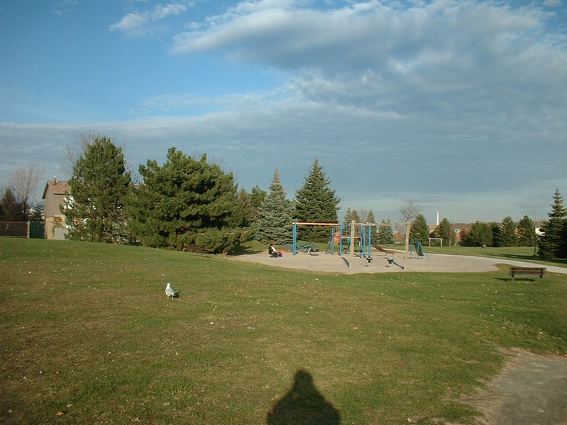 DSCF0018.JPG