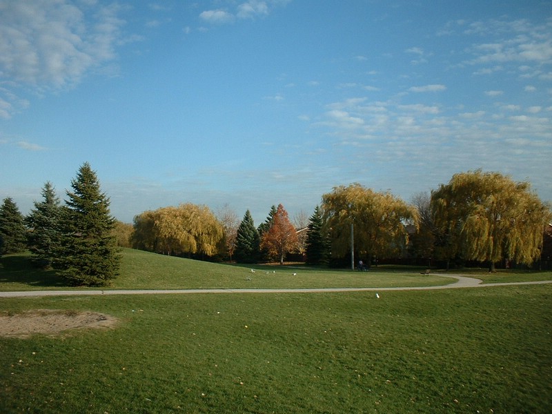 DSCF0019.JPG