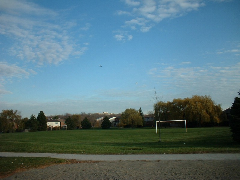 DSCF0029.JPG