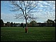 DSCF0003.JPG