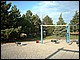 DSCF0011.JPG